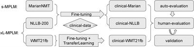 Neural machine translation of clinical text: an empirical investigation into multilingual pre-trained language models and transfer-learning
